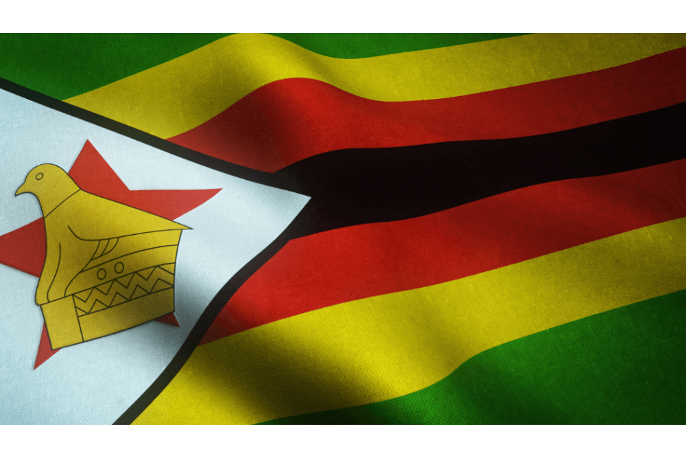 Zimbabwe: ICJ welcomes the acquittal of Joana Mamombe and Cecelia Revai ...