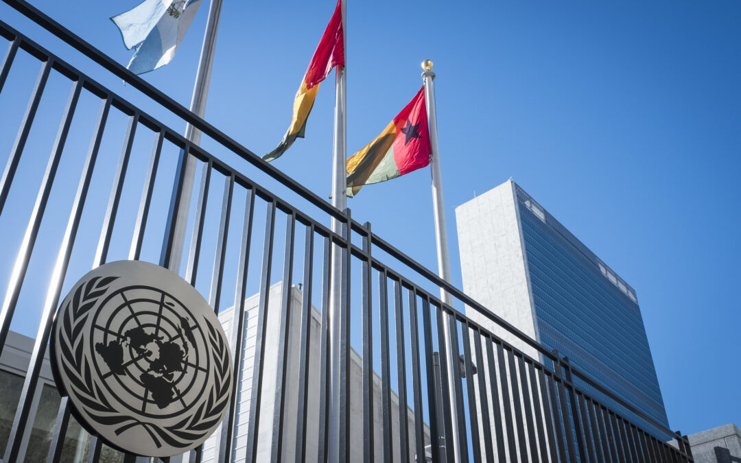 UN should ensure independent oversight of UN Counter-Terrorism architecture